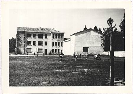 Scout-496.jpg