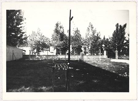 Scout-497.jpg