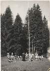 Scout-460.jpg