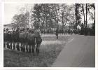 Scout-476.jpg