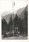Scout-485.jpg