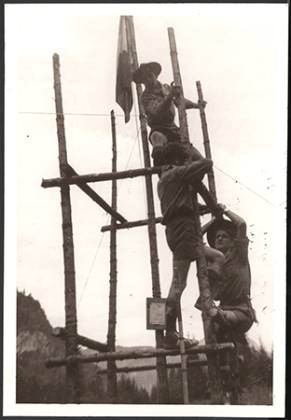 Scout-548.jpg