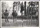 Scout-517.jpg