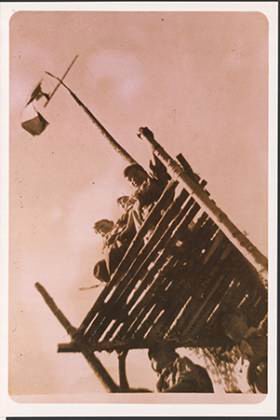 Scout-558.jpg