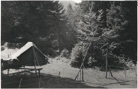 Scout-574.jpg