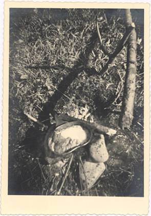 Scout-585.jpg