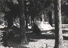 Scout-564.jpg