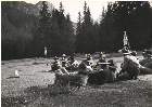 Scout-565.jpg