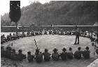 Scout-568.jpg