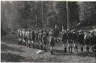 Scout-570.jpg