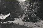 Scout-574.jpg