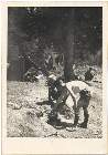 Scout-586.jpg