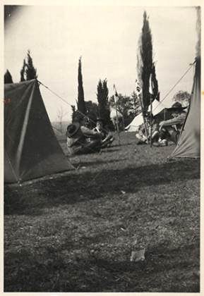 Scout-601.jpg