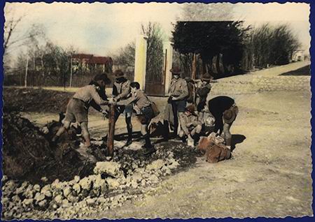 Scout-635.jpg