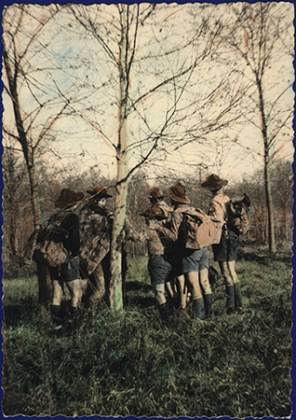Scout-636.jpg