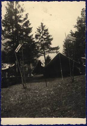 Scout-641.jpg