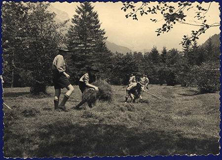 Scout-650.jpg