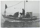 Scout-613.jpg