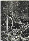 Scout-619.jpg