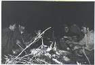 Scout-621.jpg