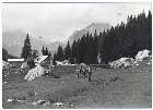 Scout-626.jpg