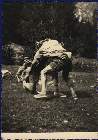 Scout-648.jpg