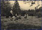 Scout-650.jpg