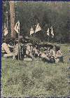 Scout-668.jpg
