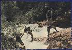 Scout-672.jpg