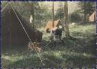 Scout-678.jpg
