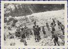 Scout-679.jpg