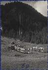 Scout-697.jpg
