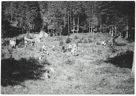 Scout-774.jpg