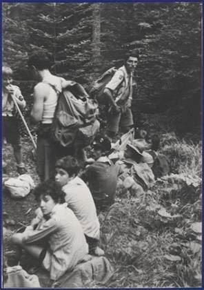 Scout-184.jpg