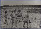 Scout-175.jpg