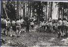 Scout-193.jpg
