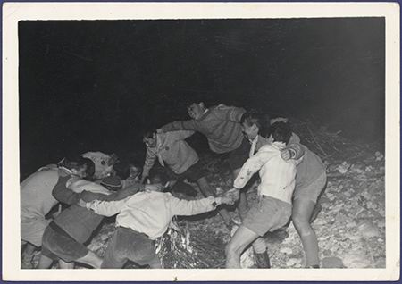 Scout-220.jpg