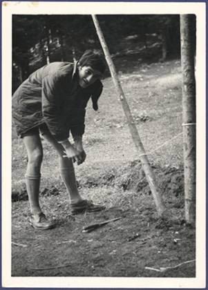 Scout-243.jpg
