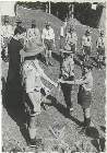 Scout-206.jpg