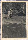 Scout-267.jpg