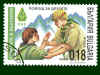 bul_018.jpg (37964 byte)